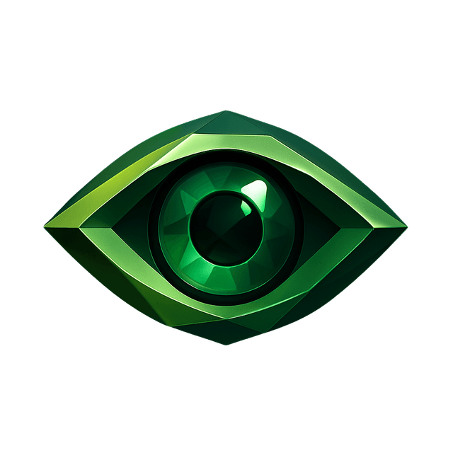 Vision Image